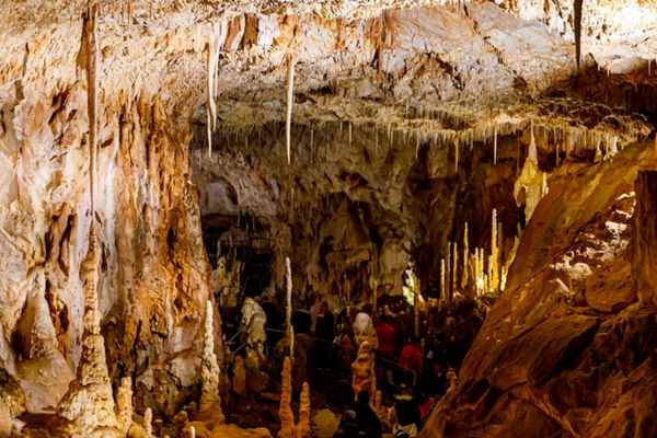  Cueva de los Enebralejos 